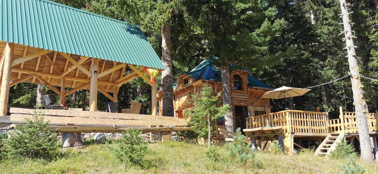 Pine Trees Lodge Plav Buitenkant foto