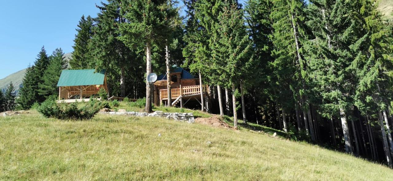 Pine Trees Lodge Plav Buitenkant foto