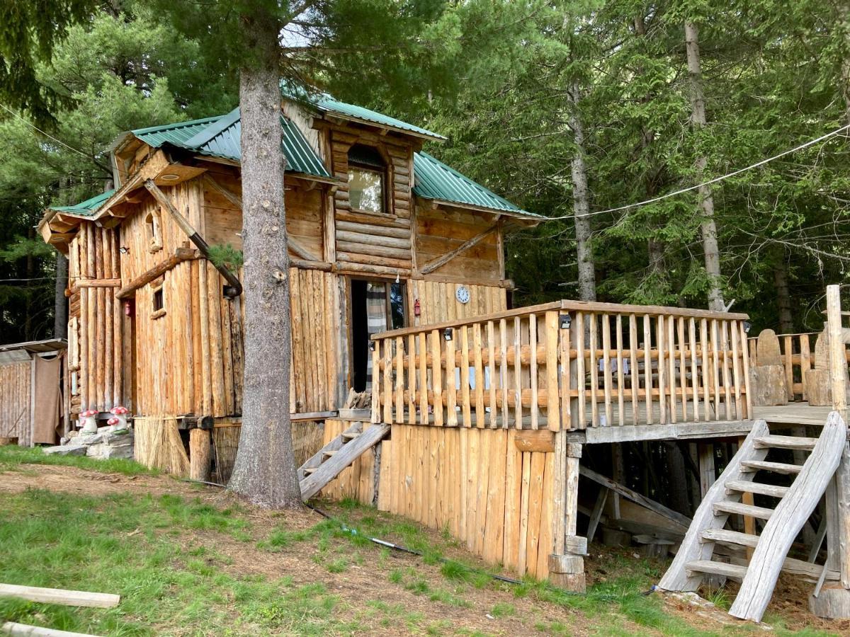 Pine Trees Lodge Plav Buitenkant foto