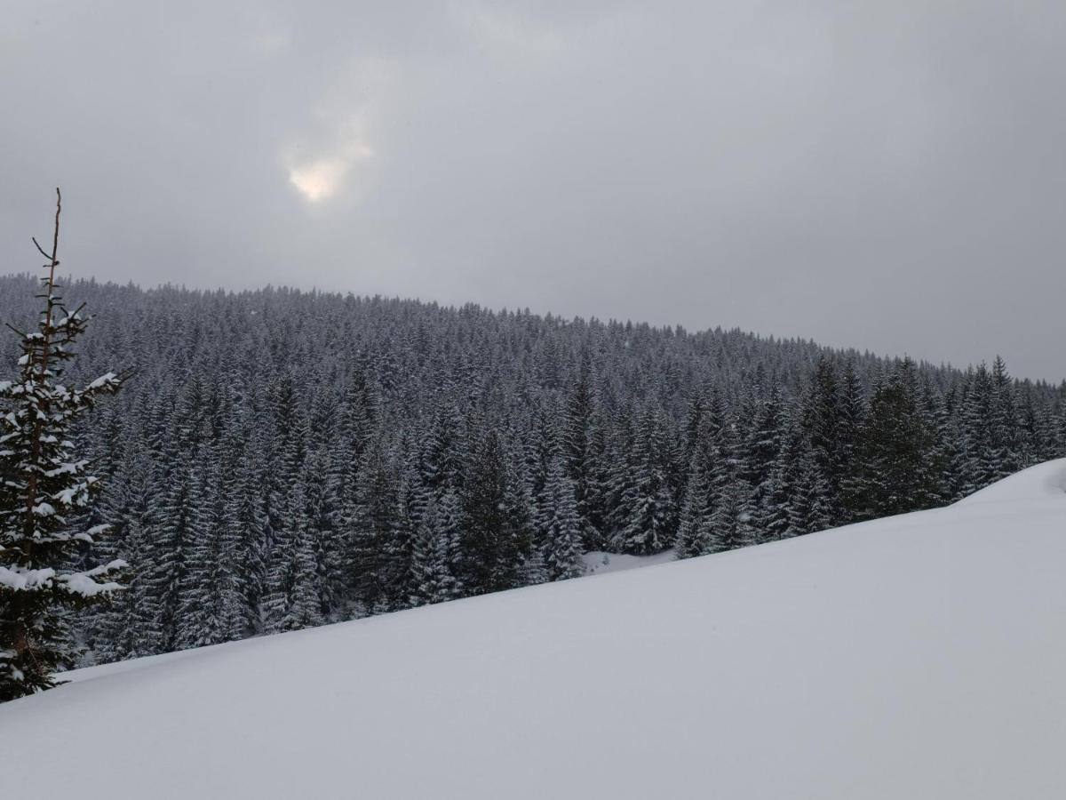 Pine Trees Lodge Plav Buitenkant foto