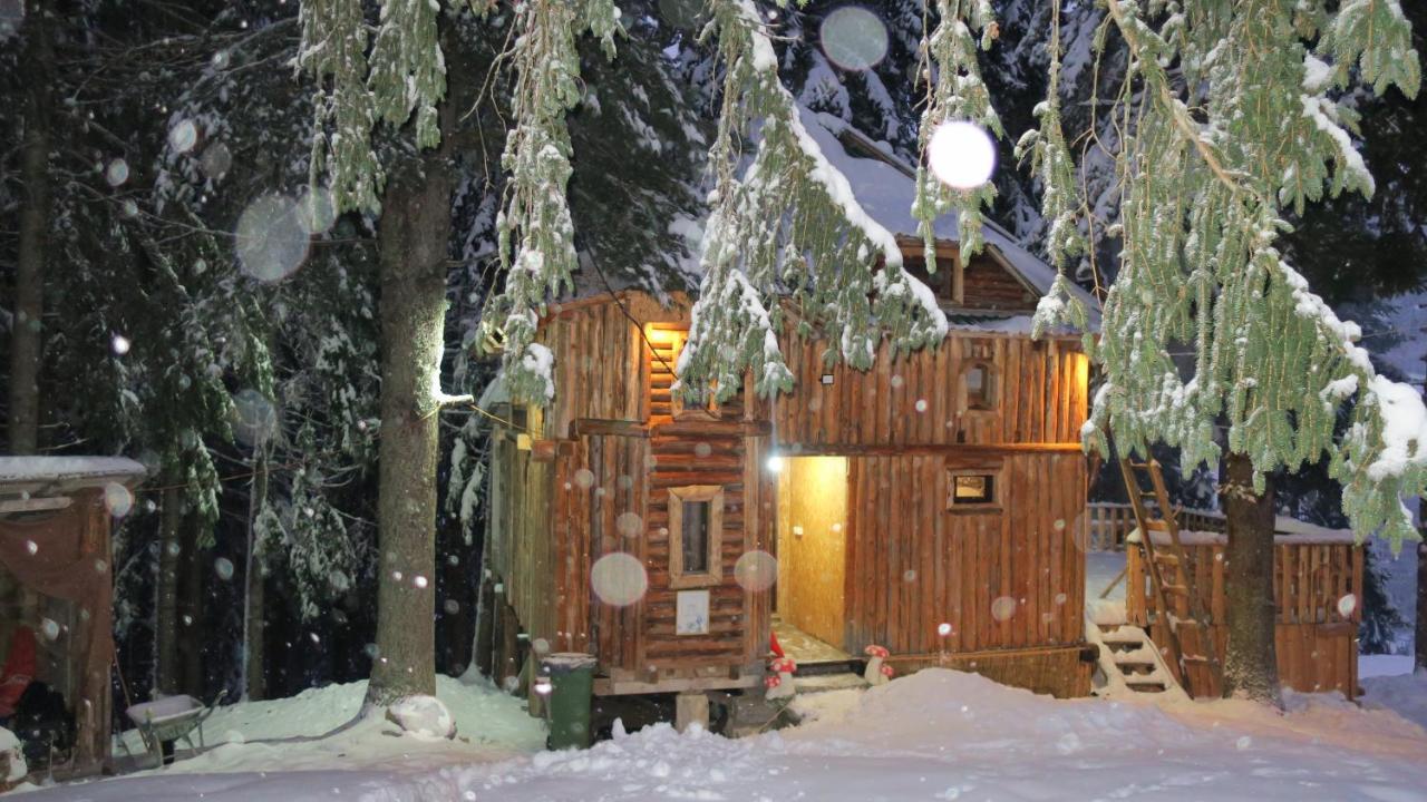 Pine Trees Lodge Plav Buitenkant foto