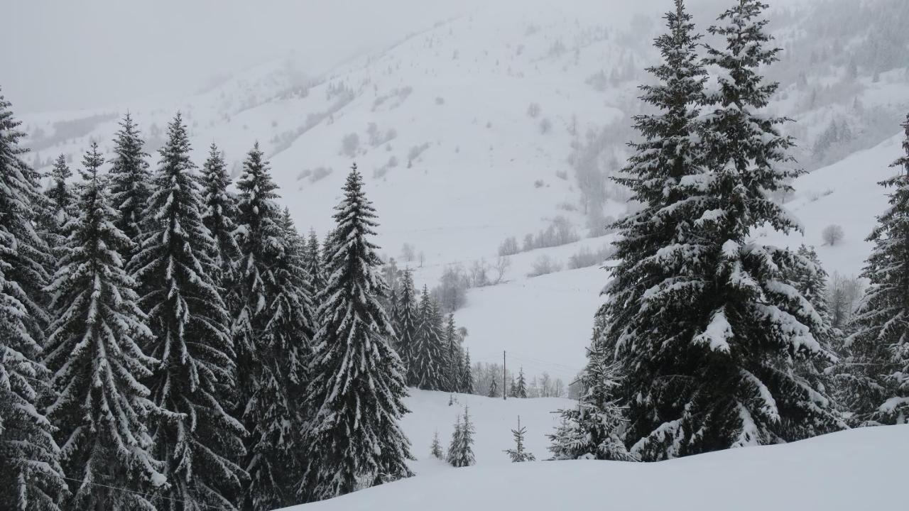 Pine Trees Lodge Plav Buitenkant foto