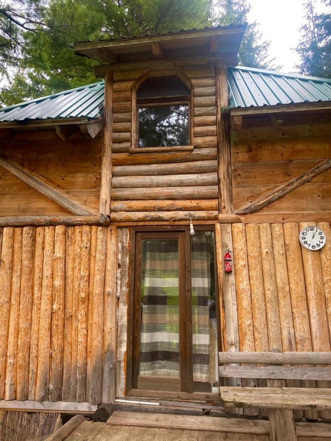 Pine Trees Lodge Plav Buitenkant foto